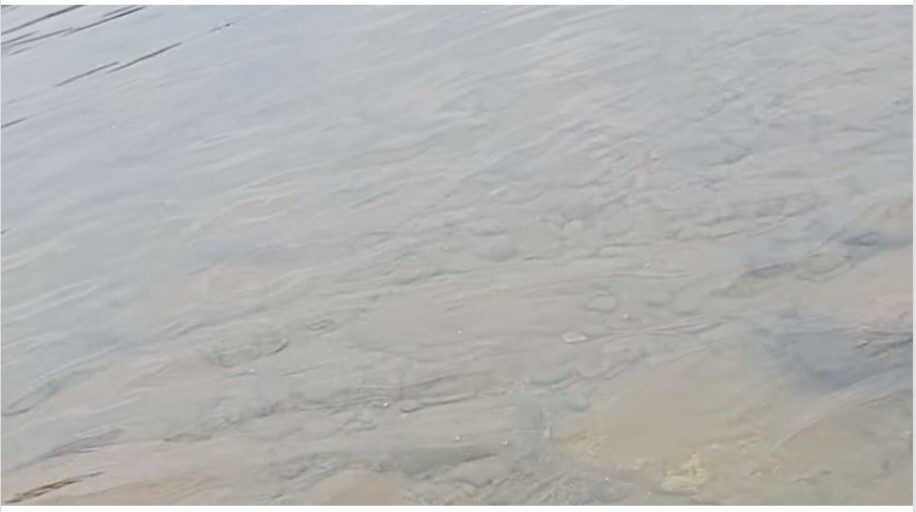 मोरङको बूढी खोलामा बगाउँदा एक जनाको ज्यान गयो, दुई जना बेपत्ता, एक जनाको उद्धार