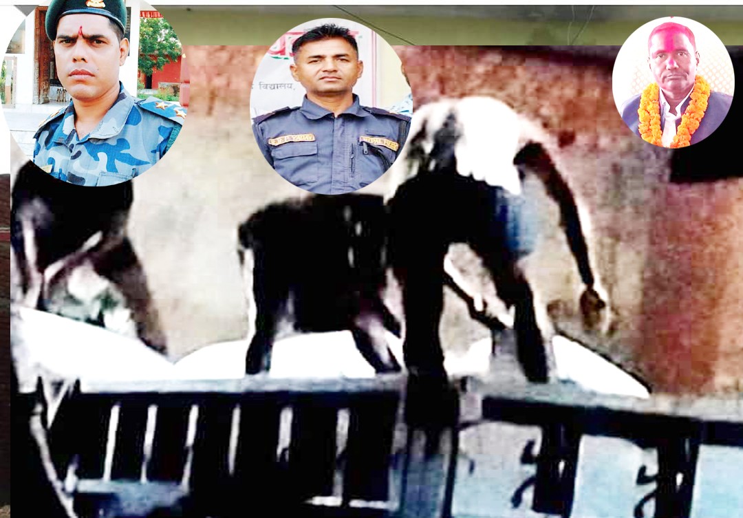 स्थानियको बिरोधपछि धोरे नाकाबाट निर्यात हुन लागेको मसुर एकडी पुनः गोदाममै फर्काइयो
