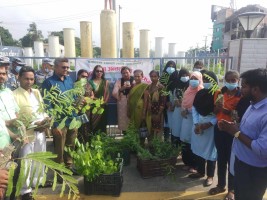 वीरगंजमा सांसद जयसवालले रोपिन १५००  सय बिरुवा