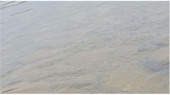 मोरङको बूढी खोलामा बगाउँदा एक जनाको ज्यान गयो, दुई जना बेपत्ता, एक जनाको उद्धार