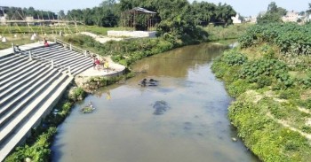 सिर्सियामा विष मिसाउने उद्योगमाथि सरकार कडा, मापदण्ड उल्लंघन गर्नेलाई कारबाही