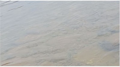 मोरङको बूढी खोलामा बगाउँदा एक जनाको ज्यान गयो, दुई जना बेपत्ता, एक जनाको उद्धार